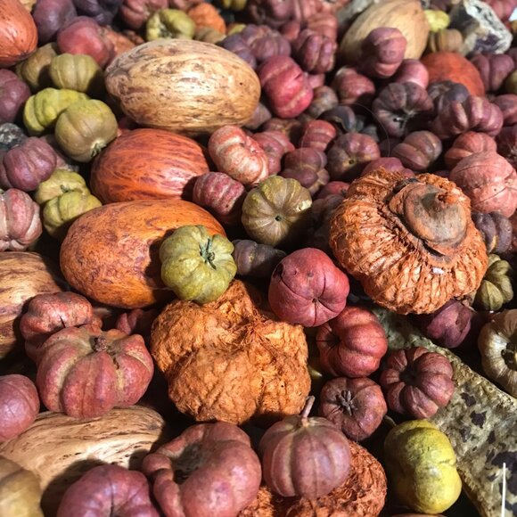 Potpourri Mix With Artificial Lemons & Oranges Fall Decor Premium Decorative - Picture 14 of 16